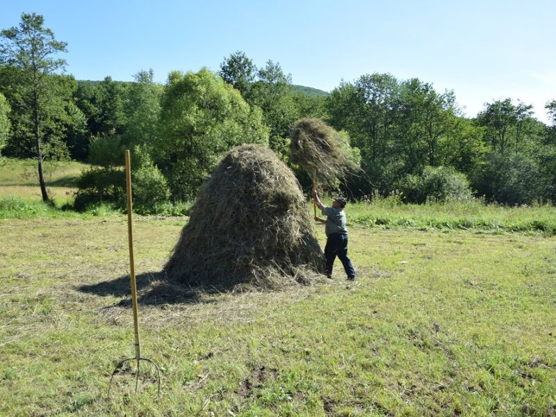 Rumänien_Bei der Arbeit_1